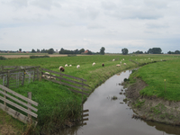 WAT120003327 Aan de linkerkant van de stolpboerderij ''Uilenhoek'', recht tegenover de Edammerweg het restant van de ...
