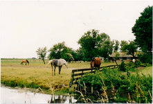 CPH_map1_020 Land met paarden behorende bij de ''St Antonis Hoeve'' N.G.Vessies woonde hier tot 1988. Voor Vessies ...