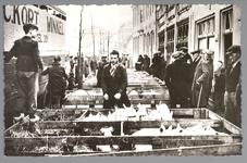 WAT001013176 De varkensmarkt. Tot 1973 werd er op dinsdag de varkensmarkt gehouden in de Willem Eggertstraat en op het ...