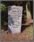 WAT001000902 Joodse begraafplaats.Grafsteen van Abraham Levie Bierman, geboren in 1806 te Amsterdam, overleden op ...