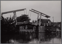 WAT001007134 -