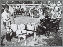 WAT001016206 Voorgrond: Een jongen met een Bokkenwagen.Achtergrond: koeienmarkt. Op de kop van de koemarkt verhandelde ...