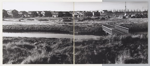 WAT001017729 Rechts: Spoordijk.Links: Moerasvaren en Muurvaren in aanbouw.Wijk de Gors.