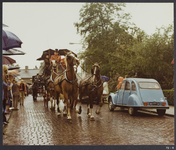 WAT001019548 Zondag 20 juni 1976 hield de stichting Paard en Koets de jaarlijkse reünie in Landsmeer. Dit ter ...