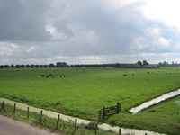 WAT120003307 Weiland links van de stolpboerderij aan de Purmerdijk nummer 14.Weg links achter de Blijweg. (gaat later ...