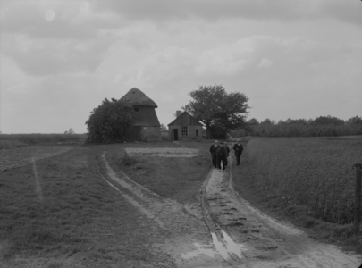 91 Ootmarsum: Opname van De Roesenberg, midden in de weilanden, met als hooischuur een rest van molenstomp., 1938-06-03