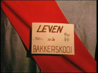 11232BB02898 Een film, rond de Bakkerskooi, een eendenkooi in het natuurgebied De Wieden., 00-00-1970