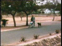 2653BB05625 Familiefilm met beelden van o.a. een wandeling met kinderwagen en hond, een waterval, moeder en kind met de ...