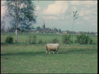 525BB08136 Een familiefilm van de familie Lodérus uit Deventer, met beelden van o.a.:- Voorjaar '62, vee in de wei bij ...