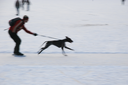 134 DBUITERWIJK-000180 Schaatsen op de Dobbe, 2009-01-10