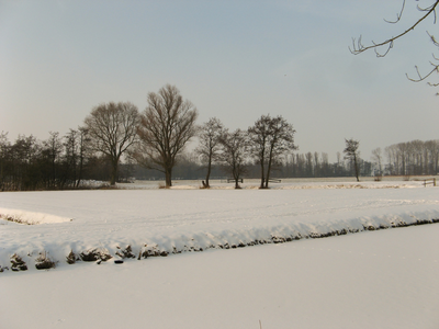 4144 DBUITERWIJK-001540 Winter en Sneeuw in Zwolle - Aa-landen-dijklanden, 2013-01-22