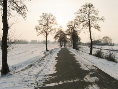 4146 DBUITERWIJK-001542 Winter en Sneeuw in Zwolle - Aa-landen-dijklanden-Urksteeg, 2013-01-22