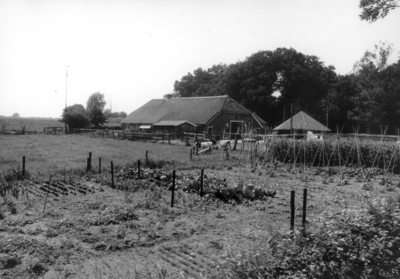 1927 FD003129 Een gerestaureerde boerderij met rieten kap aan de Doornweg te Haerst in de voormalige gemeente ...