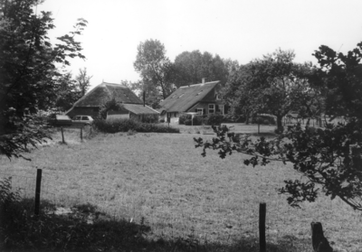 1929 FD003131 Een gerestaureerde boerderij met rieten kap aan de Doornweg te Haerst in de voormalige gemeente ...
