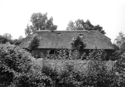 2499 FD003144 Boerderij met met rieten dak in het buurschap Haarst aan de Doornweg., 1986-00-00