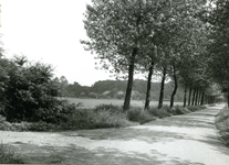 9181 FD012995 Schellerenkweg (westzijde) vanaf de IJsseldijk. Op de achtergrond de lagere school. , 1972