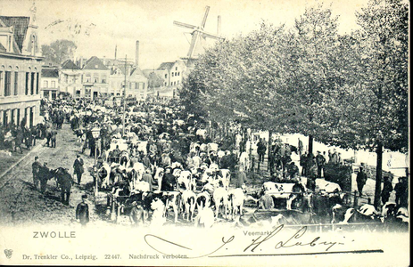 1936 PBKR3893 Veemarkt op de Beestenmarkt (vanaf 1931 Harm Smeengekade) naar het noorden, ca. 1900. Tramrails van de ...