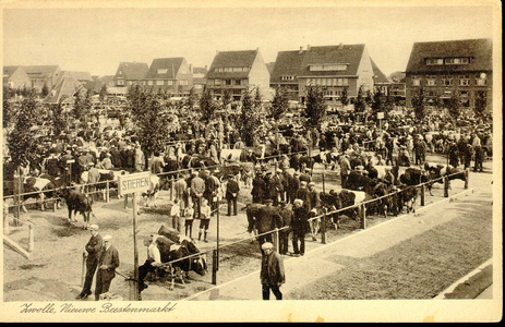 1938 PBKR3895 Veemarkt (geopend 1 mei 1931) gezien naar het noorden, op de voorgrond vee. Bord Stieren prominent ...
