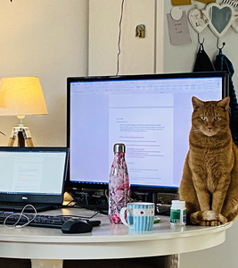 47 De thuiswerkplek van de fotograaf in Dalfsen, met kat Kwibus, 17-03-2020