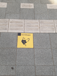 578 Opname van dichtbij van een speciaal ingelegde gele stoeptegel op een perron op station Zwolle met symbool en ...