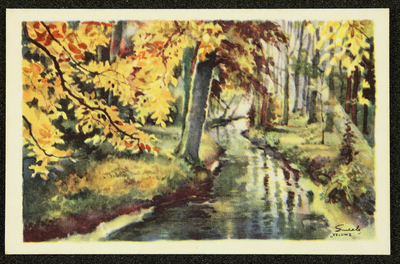 226 Ansichtkaart Veluwereeks, ontwerp van Piet Smeele, aquarel bos met watertje, 1942-01-01