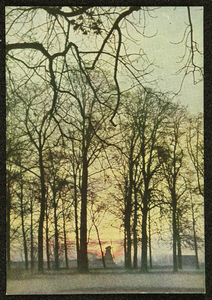 266 Ansichtkaartenreeks met afbeeldingen van Deventer en omgeving, foto Piet Smeele., 1941-01-01