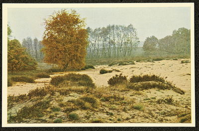 273 Ansichtkaartenreeks met kleurenfoto's van de Veluwe. Opname Piet Smeele, 1940-01-01