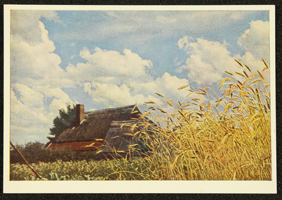 280 Ansichtkaart met kleurenfoto van een boerderij met graanveld. Opname Piet Smeele., 1940-01-01