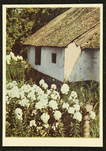 288 Ansichtkaart met kleurenfoto van een boerderij met bloemen in de tuin. Opname Piet Smeele., 1940-01-01