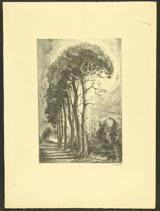 371 Druk (lithografie?), van een laantje met hoge bomen, 1929-07-20