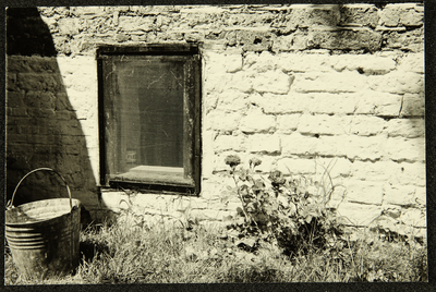 440 Emmer bij een muur in de tuin, 1961-01-01