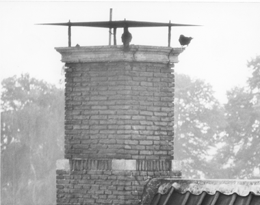 1222 Detail schoorsteen. Vanaf dak spaarbankgebouw., 23-06-1970