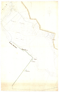309 Kaart met kadastrale nummers in Westervelde, Zuidvelde, gemeente Norg.; [ca. 1850]