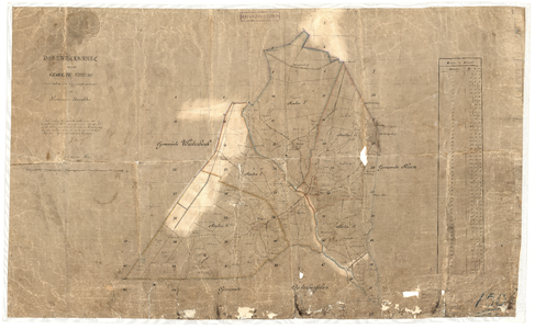 323 Verzamelkaart van de gemeente Zweeloo; 1868