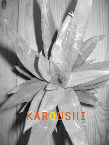 Karoushi