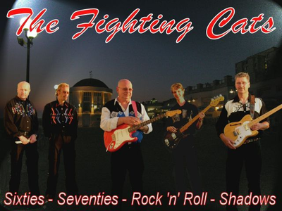 The Fighting Cats